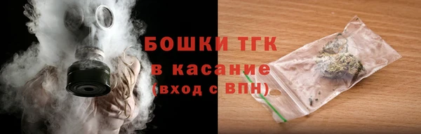 PSILOCYBIN Горнозаводск