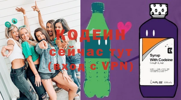 гидра Горняк