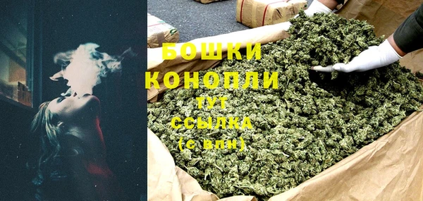 гидра Горняк