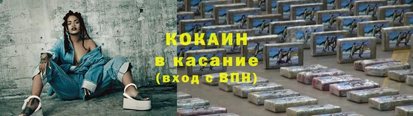 гидра Горняк