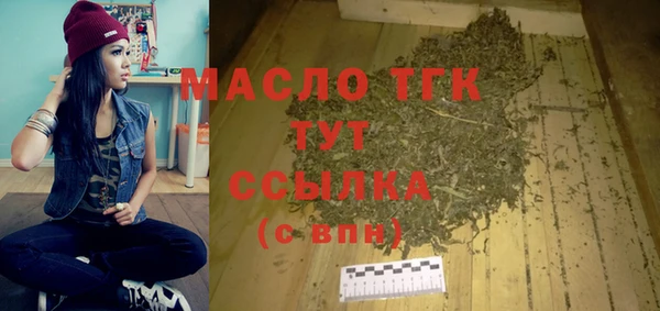гидра Горняк