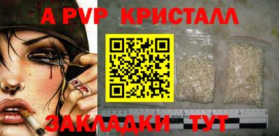 прущие грибы Будённовск