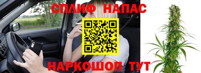 спиды Будённовск