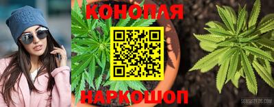 сатива Бугуруслан