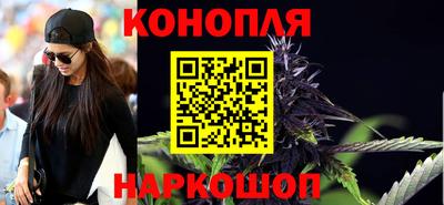 прущие грибы Будённовск