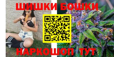 прущие грибы Будённовск