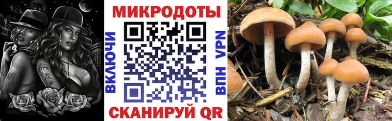 Галлюциногенные грибы ЛСД  Джанкой 