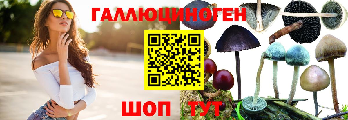 Псилоцибиновые грибы Psilocybe  Псилоцибиновые грибы ЛСД  где найти наркотики  Джанкой  Вход с VPN 