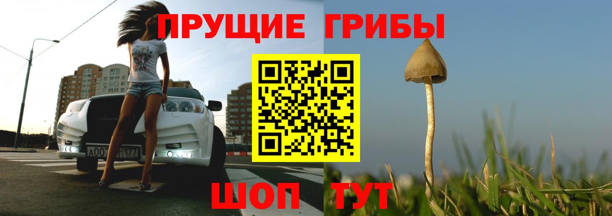 Псилоцибиновые грибы Cubensis  Галлюциногенные грибы MAGIC MUSHROOMS  Джанкой 